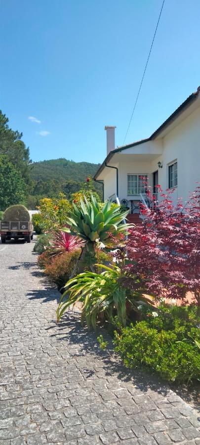 Villa Afife "Porta Da Alegria" à Viana do Castelo Extérieur photo